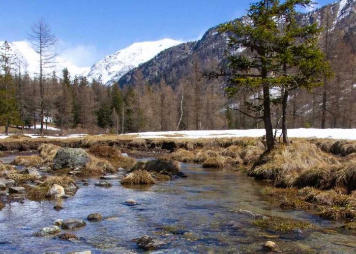 Foto trote Torrente - fiume - pesca - trote - pescatori