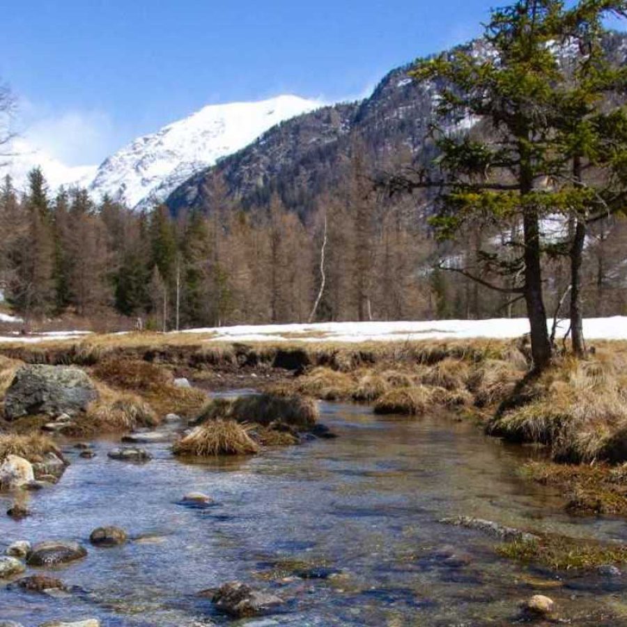 Foto trote Torrente - fiume - pesca - trote - pescatori