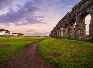 Fotolia Subscription XL