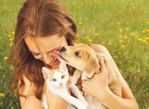 Acquario Octopus - cani - gatti