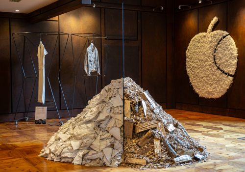 Glacial Threads di Michelangelo Pistoletto Ph Nicole Jocollé