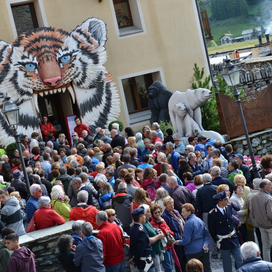 Gran Paradiso Film Festival Archivo FGP