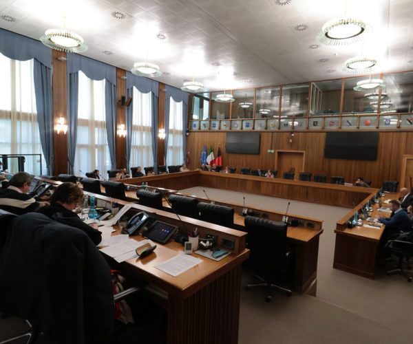 II e III Commissione ()