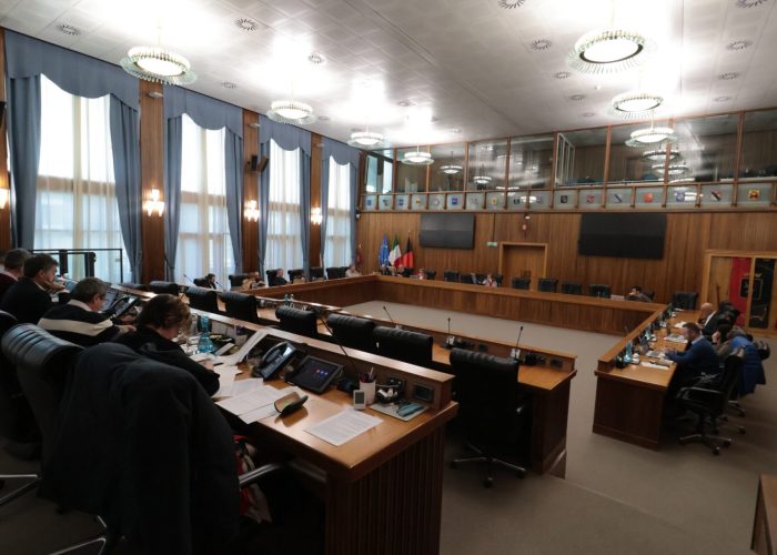 II e III Commissione ()