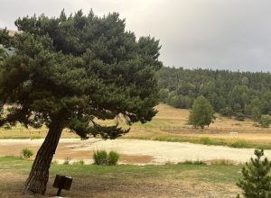 siccità estate 2025 Verrayes laghetto Champlong
