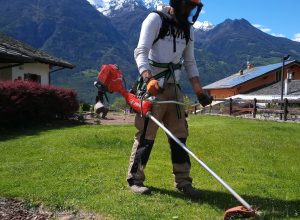 Corso manutentore del verde