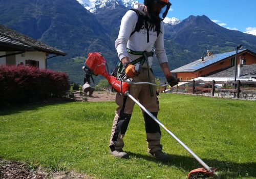 Corso manutentore del verde