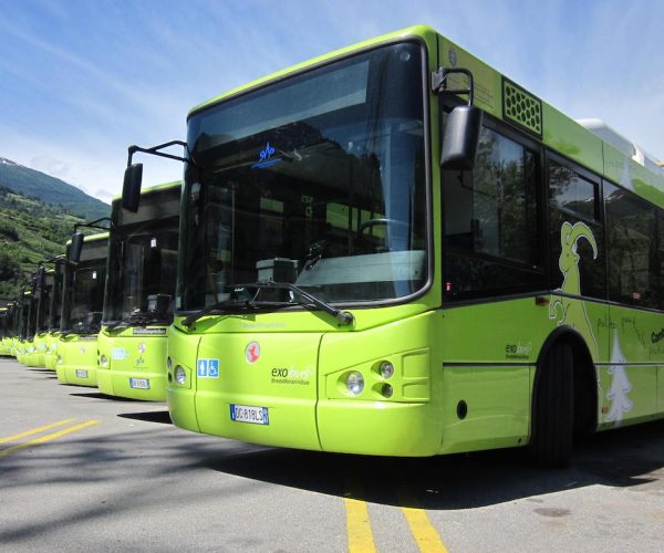 IMGSVAP - Pullman - autobus