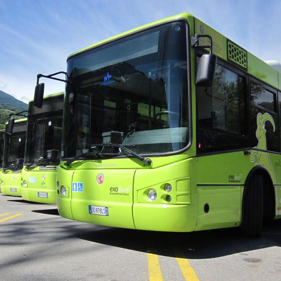 IMGSVAP - Pullman - autobus