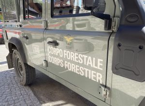 Corpo forestale - forestali