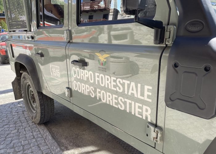 Corpo forestale - forestali