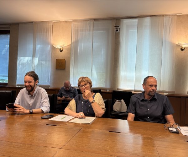 gruppo consiliare Avs