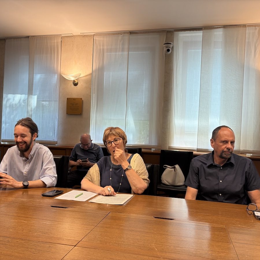 gruppo consiliare Avs