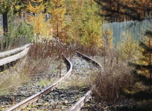 La tratta del trenino di Cogne