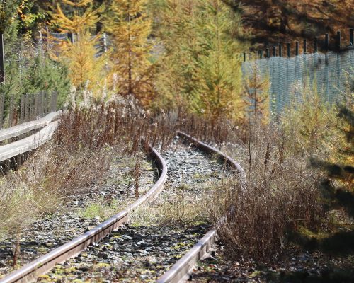 La tratta del trenino di Cogne