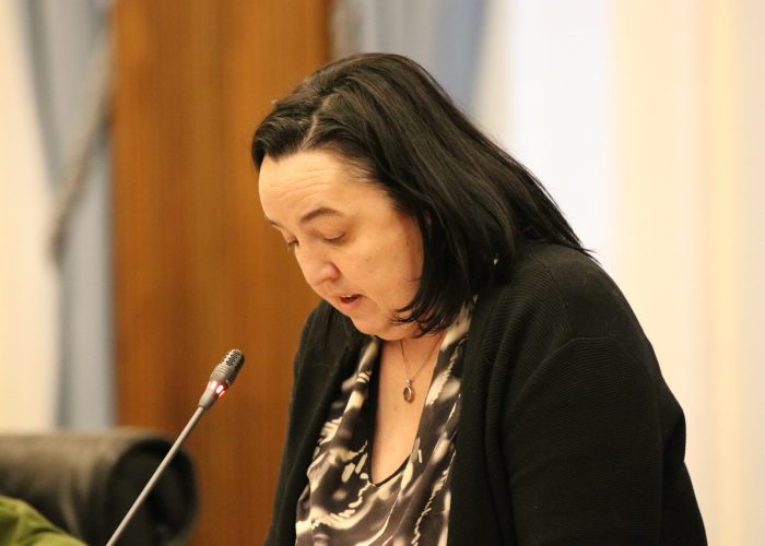 Consiglio Regionale, Erika Guichardaz