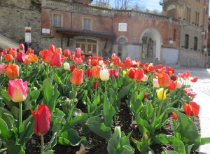 Saint-Vincent - Funicolare. Foto Alice Dufour