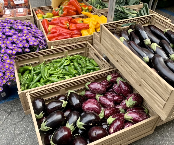 Il mercato di quartiere in piazza della Repubblica alle
