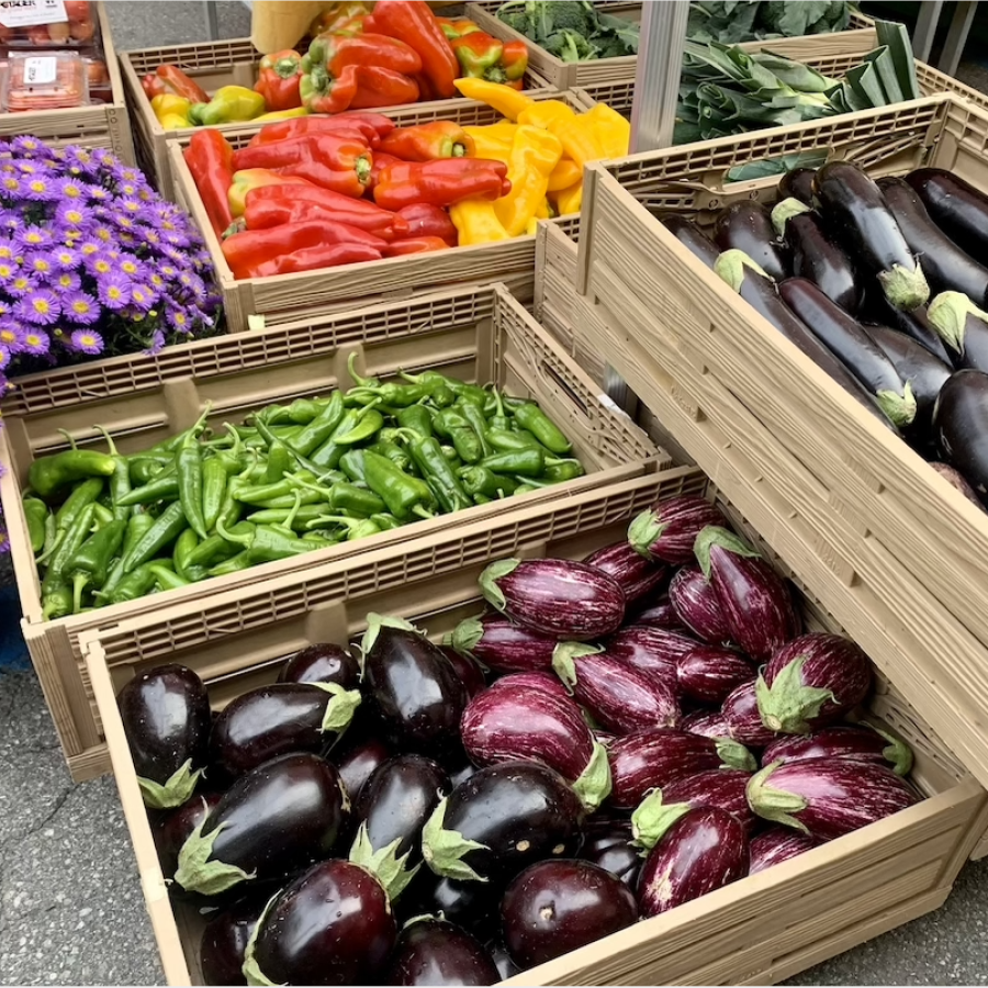 Il mercato di quartiere in piazza della Repubblica alle