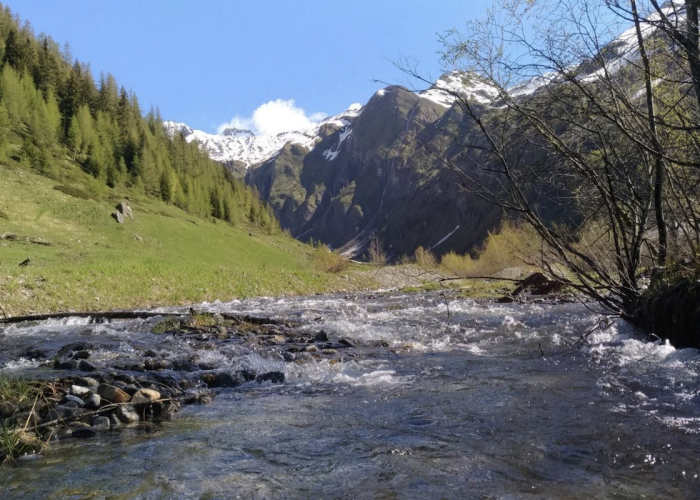 Il torrente Colombaz a Morgex