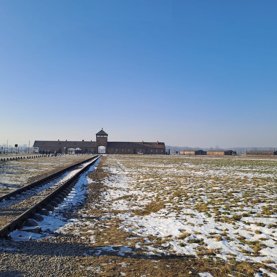 Il viaggio della memoria Auschwitz