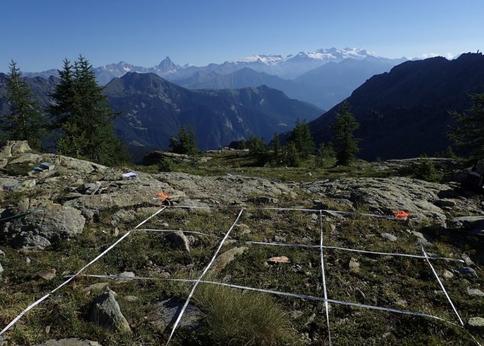 Un'immagine del sito di rilevazione "Gloria" per gli arbusti - Foto Arpa VdA
