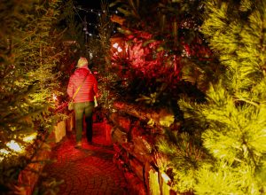 Inaugurazione Marché Vert Noel Ph Nicole Jocollé