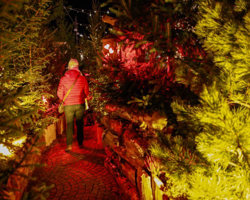 Inaugurazione Marché Vert Noel Ph Nicole Jocollé