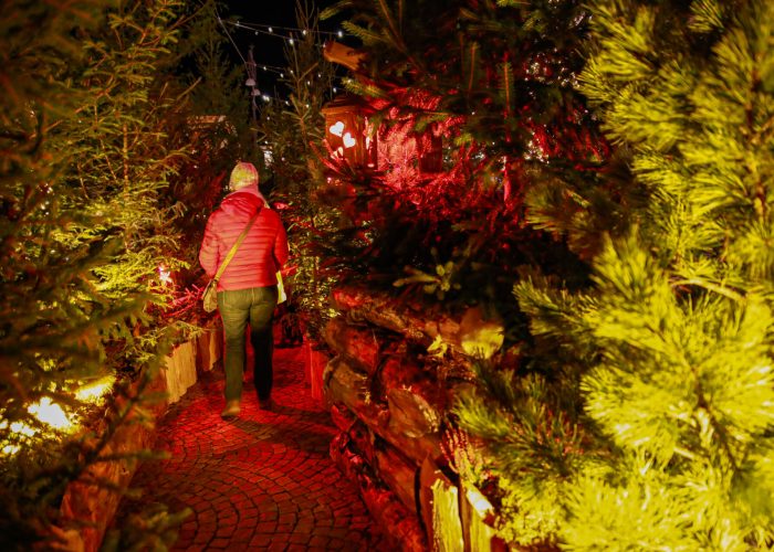 Inaugurazione Marché Vert Noel Ph Nicole Jocollé