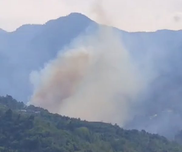 Incendio boschivo Aymavilles