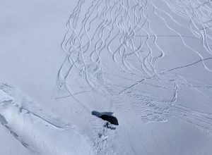 Incidente Vallée Blanche