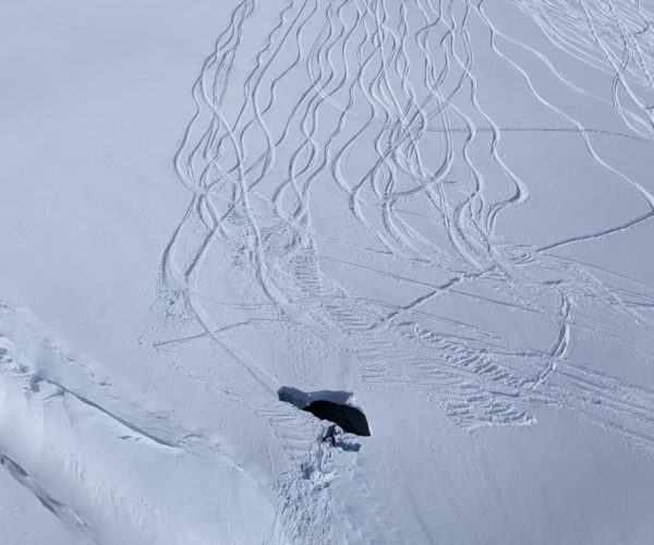 Incidente Vallée Blanche