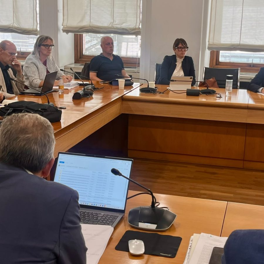 Incontro Agea Speranza Girod