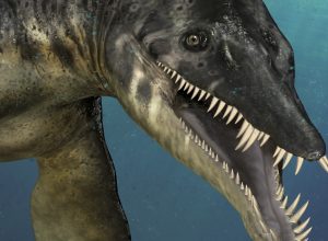 Jurassic Sea Monsters Courmayeur