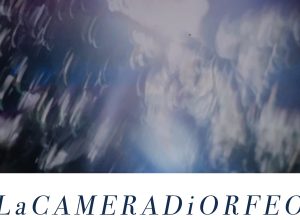 La camera di Orfeo framedivision