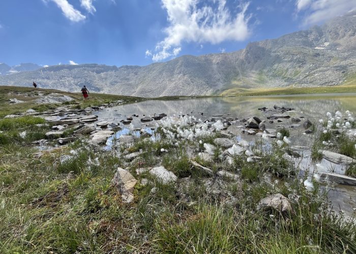 Laghi Djouan