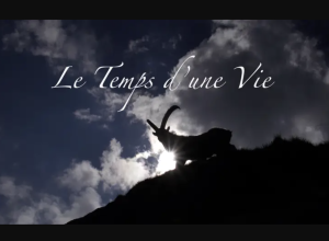 Le temps d'une vie