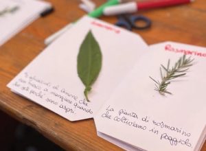 L'erbario dei ricordi