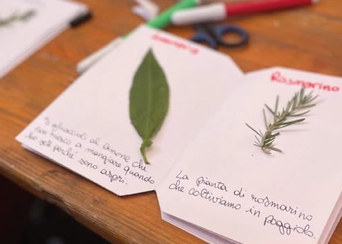 L'erbario dei ricordi