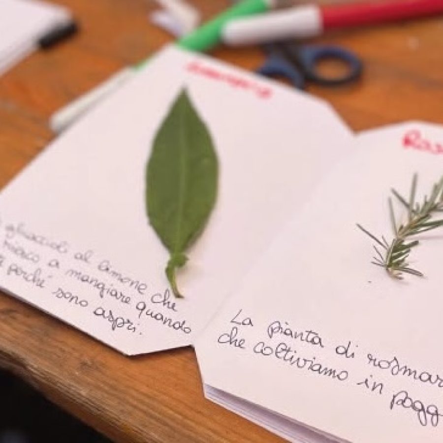 L'erbario dei ricordi