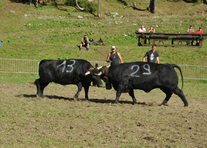 Batailles des moudzons