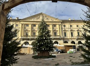 Marché Vert Noel