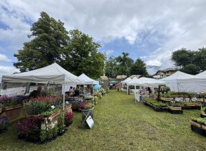 Marché aux Fleurs Aymavilles