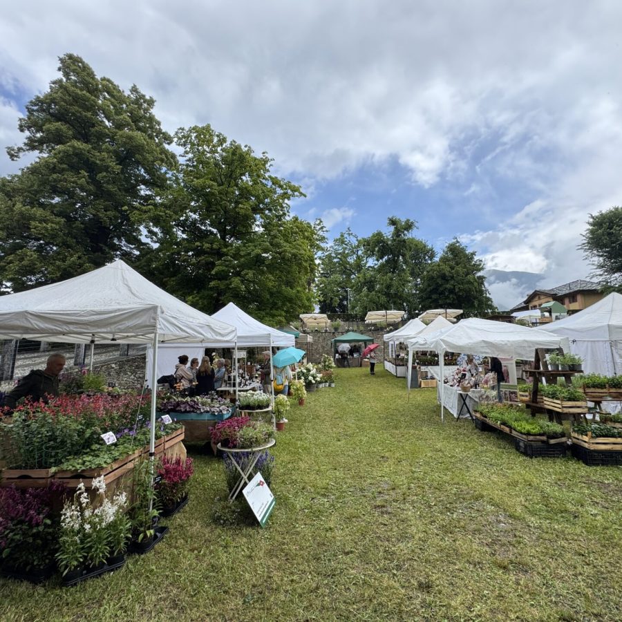 Marché aux Fleurs Aymavilles