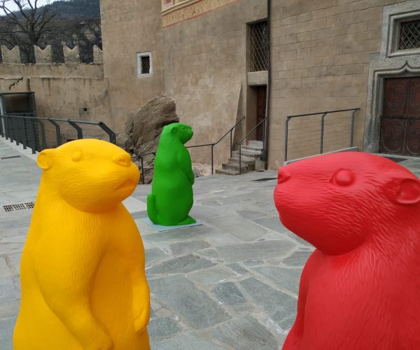 Marmotte Cracking Art