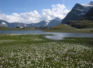 Parco nazionale Gran Paradiso