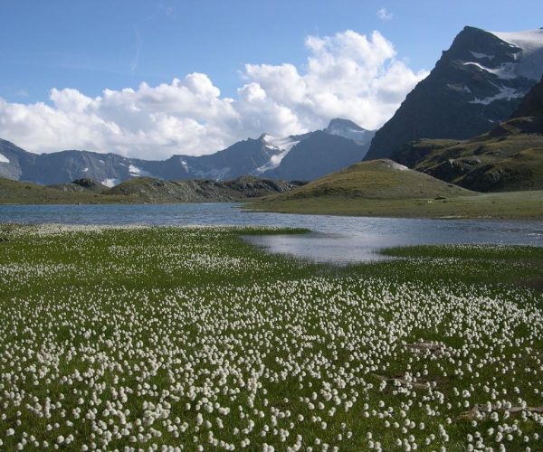 Parco nazionale Gran Paradiso
