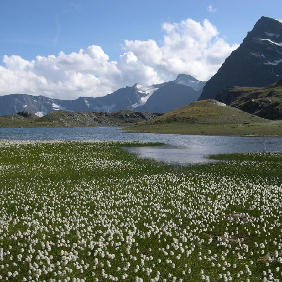 Parco nazionale Gran Paradiso