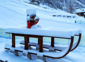 Murmeltier nuova pista da slittino