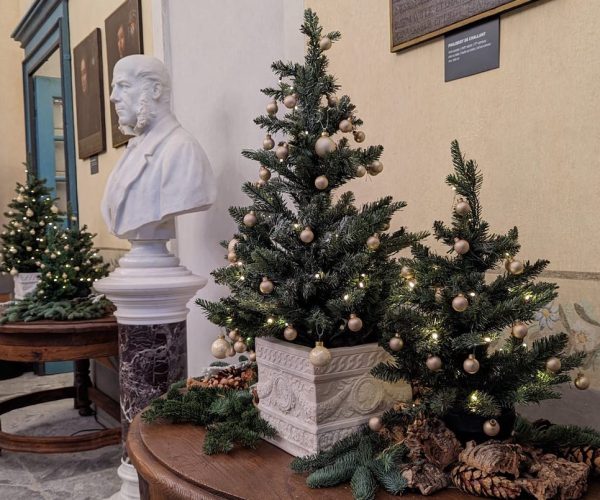 Natale al Castello di Aymavilles Album di famiglia